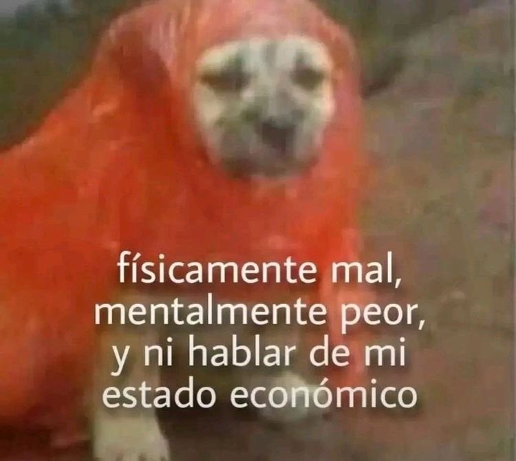 Ayuda xfavor