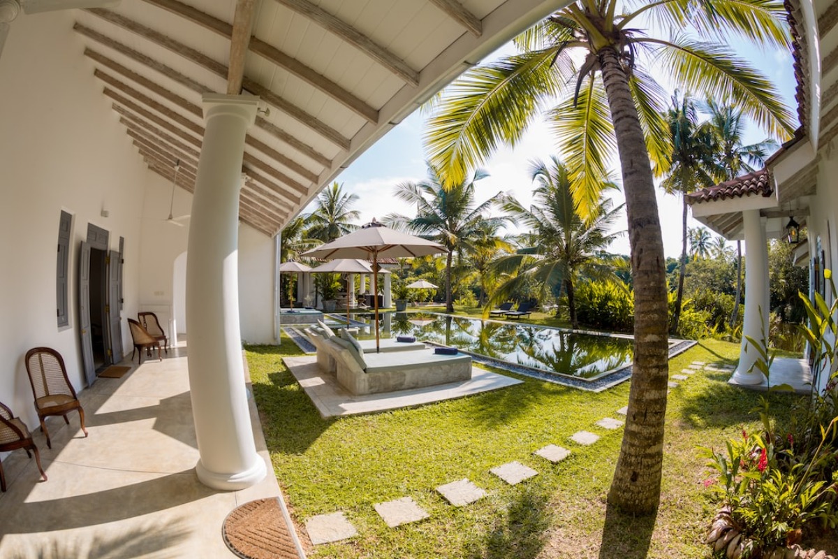 Mit diesen Pflanzen setzen Sie den Pool in Szene hausingly.de/mit-diesen-pfl… #Garten #Pool #Poolbepflanzung