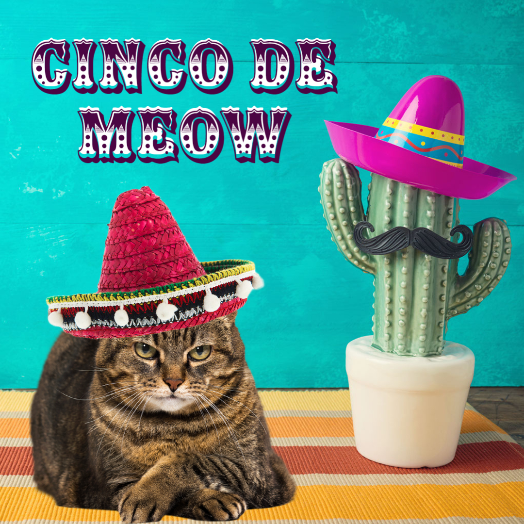 SWScenicGroup's tweet photo. We wish everyone a Safe and Happy Cinco De Mayo! https://t.co/xBGFU8Jr2A