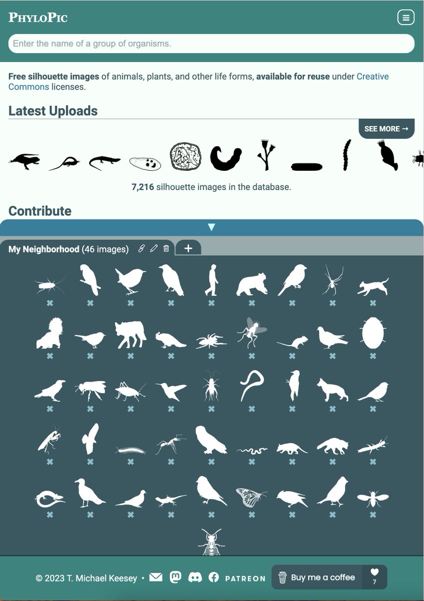 You can keep multiple collections and title them, too. To link to a collection, use the "link" icon on the tab.