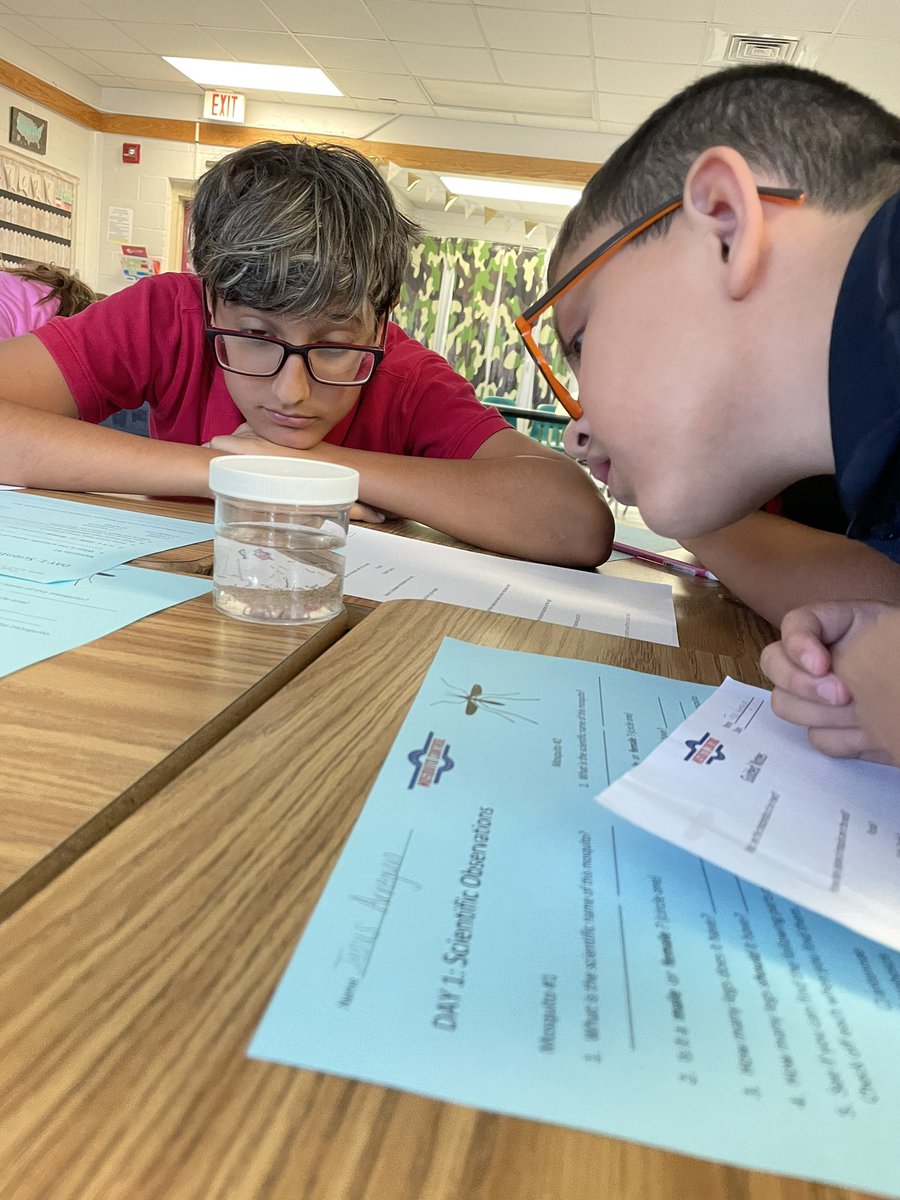 Miss Gates tweet media