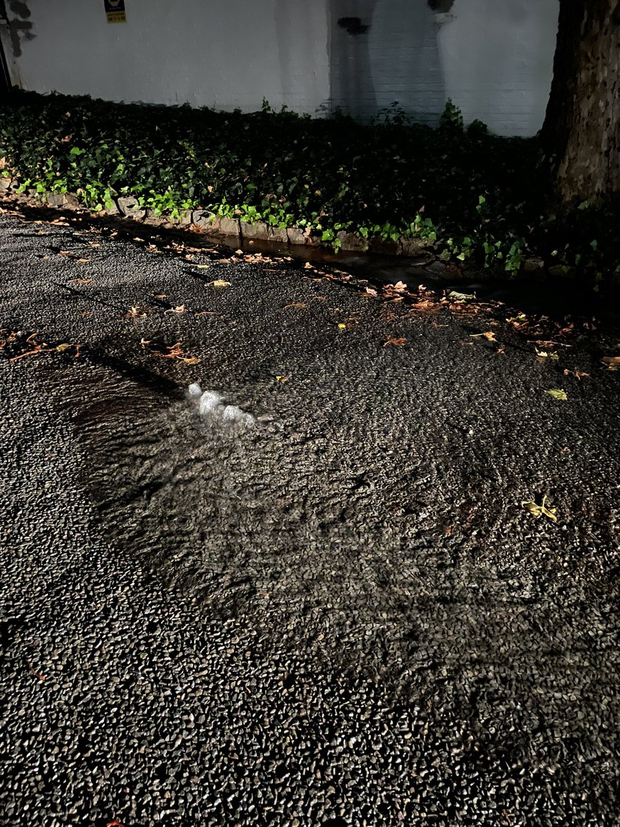 Ryan dittmann tweet media