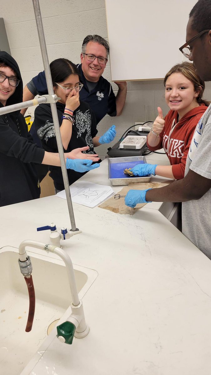 jmackiewicz502's tweet photo. The Super Bowl of Biology! One Time!
#frogdissection @missweltmer @LPHS_Principal https://t.co/Ru8UGtC6H1