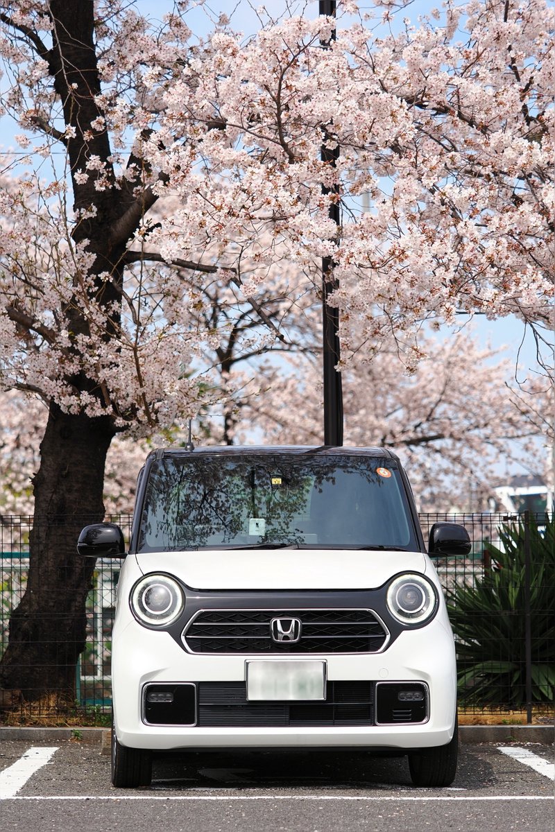 inemuri604's tweet photo. #このタグをみた人はド正面写真を貼る
#Honda
#エヌワン
#Nのある暮らし
#OMSYSTEM
#OM1
#40150pro https://t.co/FEmEP3TGlU