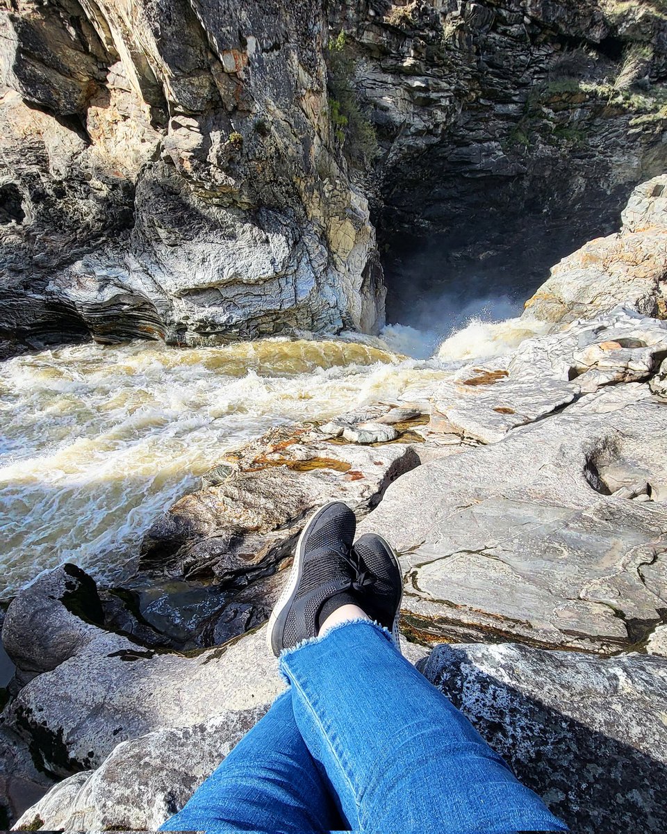 The Nature of Runes tweet media