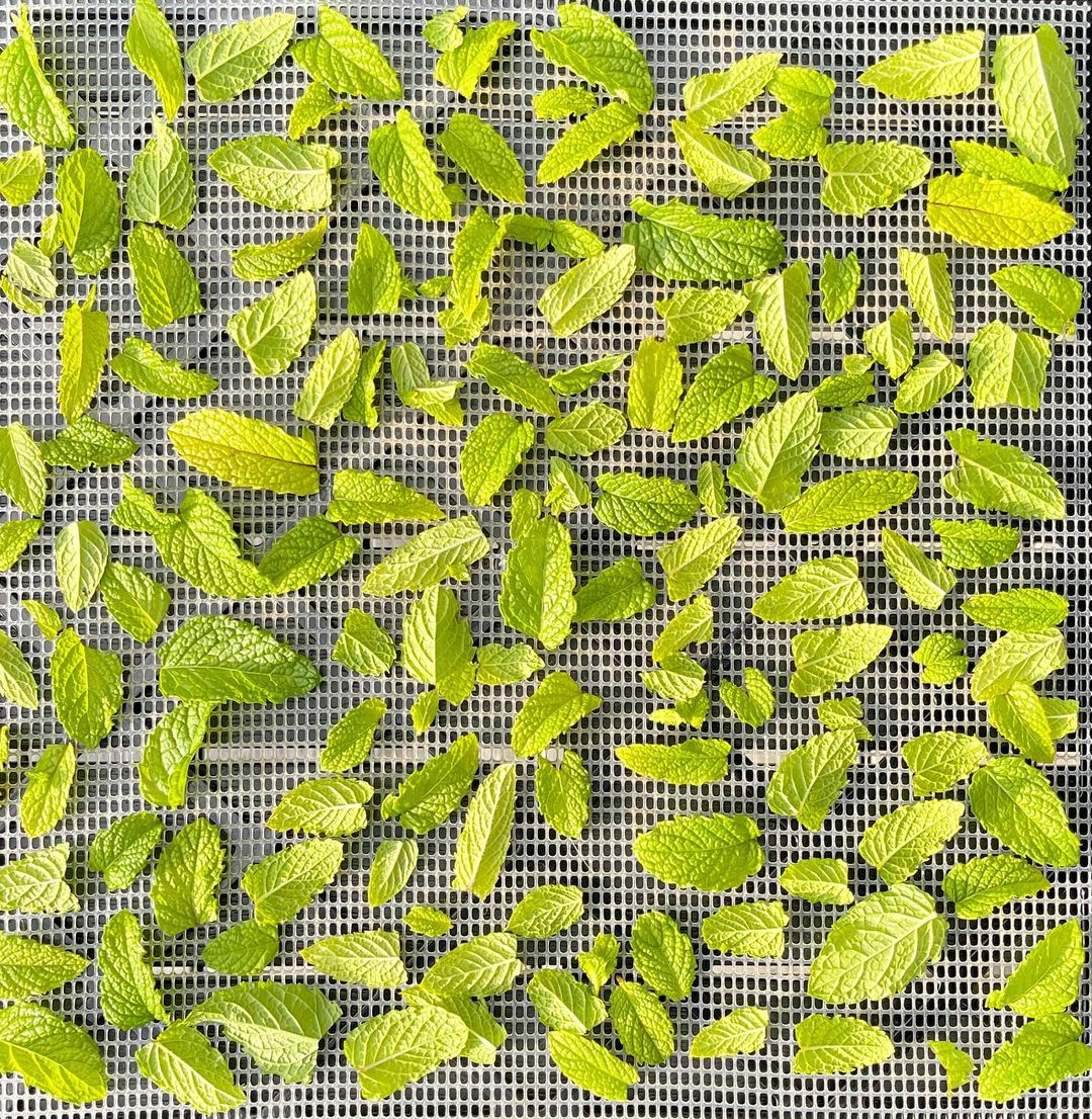 ExcaliburDehydrators tweet media