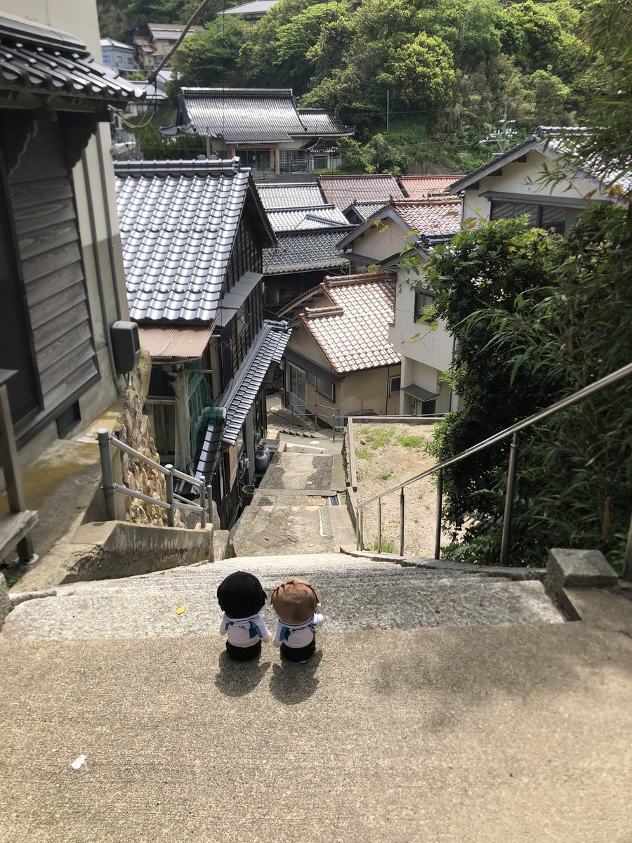 🐬hicky(ﾋｯｷｰ)🌻🎙️🎚️ド🐿️ tweet media