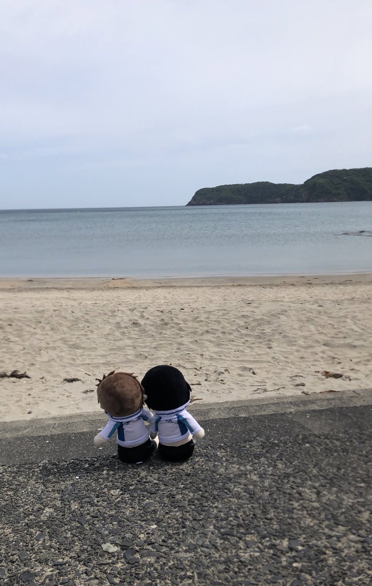 🐬hicky(ﾋｯｷｰ)🌻🎙️🎚️ド🐿️ tweet media