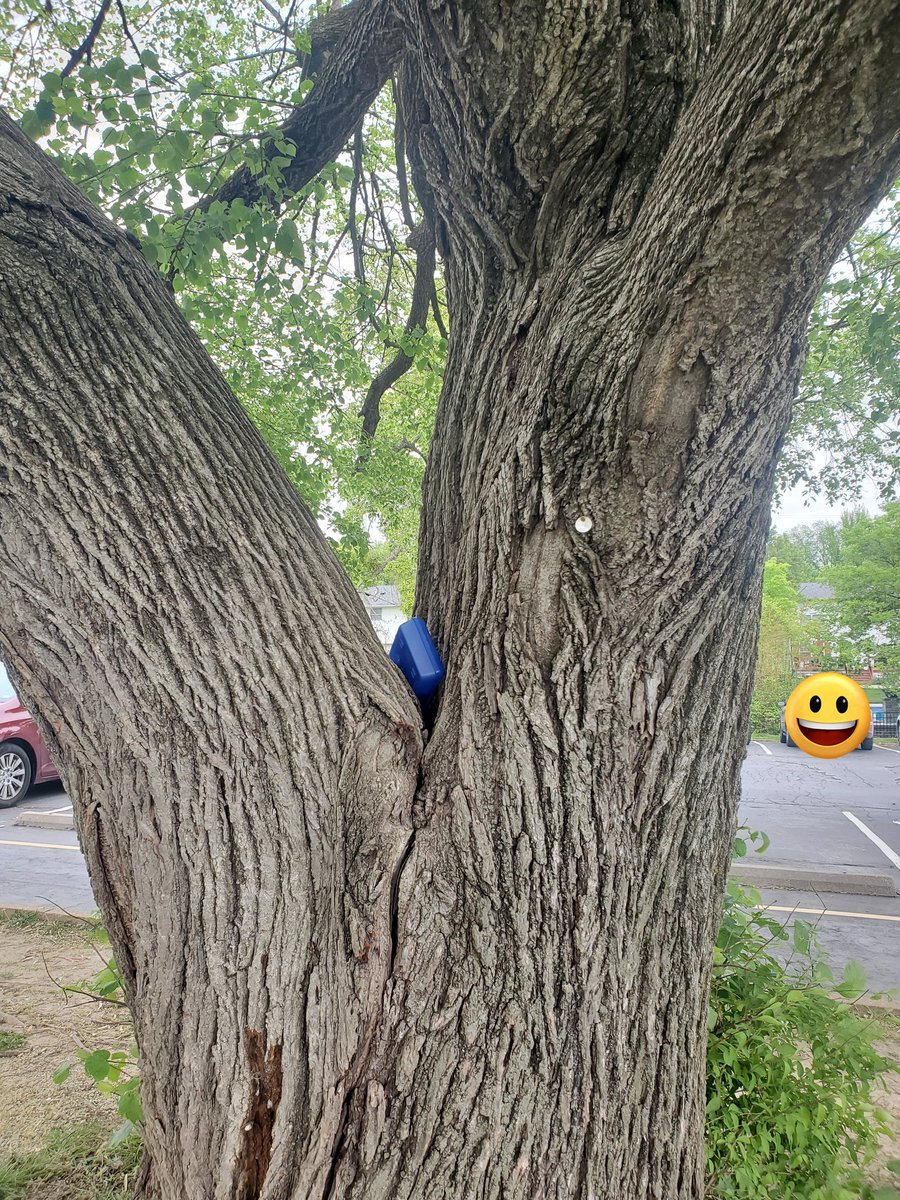 Jordan Lewis tweet media