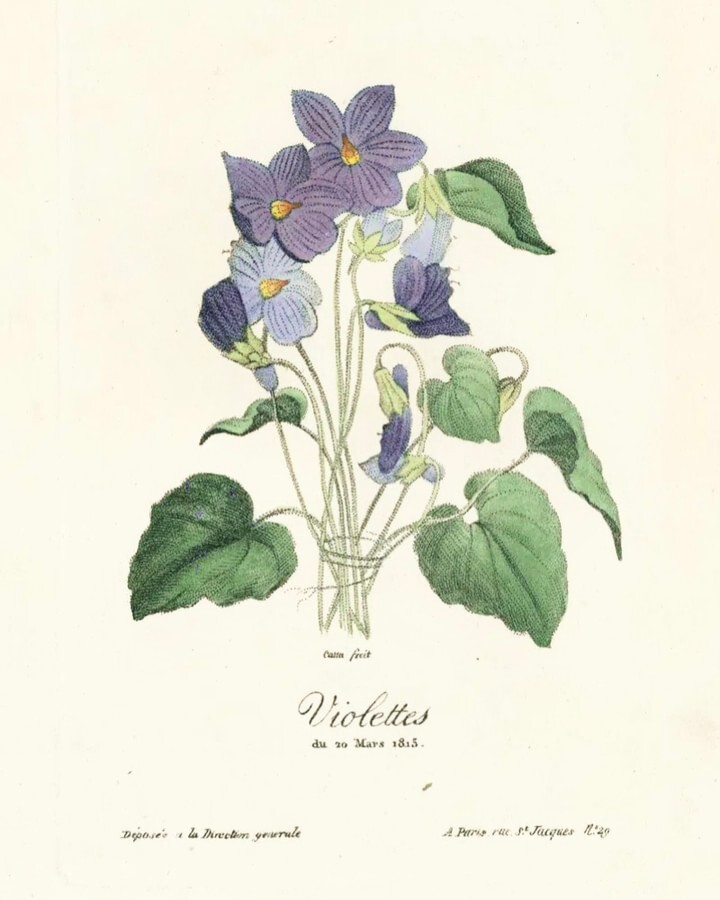 You COULD get them flowers for Mother’s Day, but our floral caramels are probably tastier. 😋⠀⠀⠀⠀⠀⠀⠀⠀⠀
.⠀⠀⠀⠀⠀⠀⠀⠀⠀
.⠀⠀⠀⠀⠀⠀⠀⠀⠀
.⠀⠀⠀⠀⠀⠀⠀⠀⠀
 #lebongarcon #caramel #treatyourself #locallymade #wildviolet
