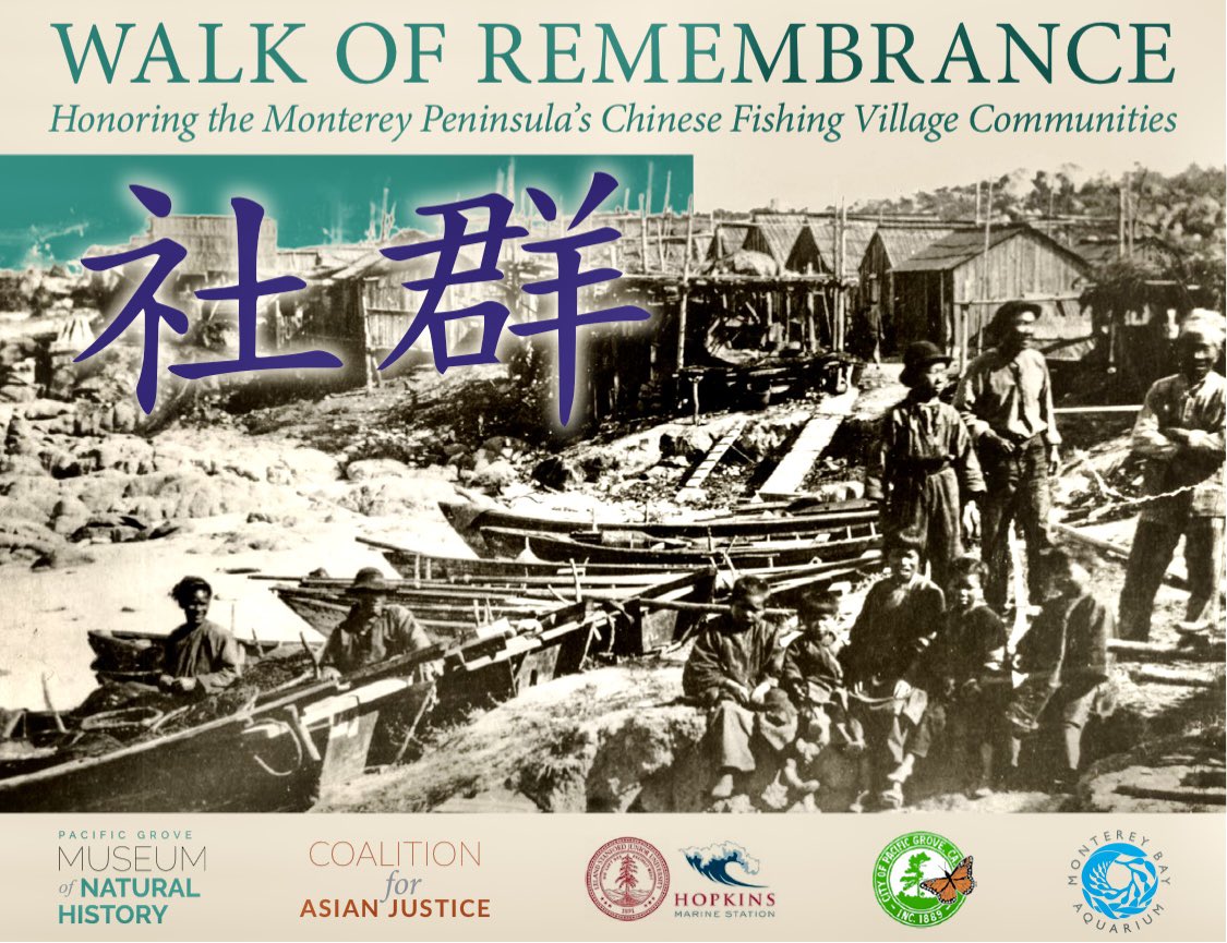 jeanquan's tweet image. Next weekend #MontereyBay &amp;amp; #ChineseAmerican descendants of the #fishingvillages that pioneered #California’s #fishingindustry hosts a weekend of events. bit.ly/42ad89M
🦑#RedAltar play &amp;amp; discussion, #MontereyBayAquarium, Friday,May12, 6:15pm
🦑#WalkofRemembrance from