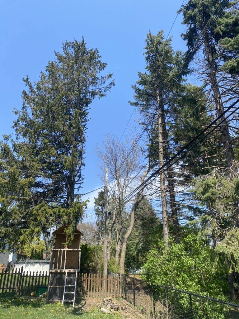 Knitterly Things tweet media