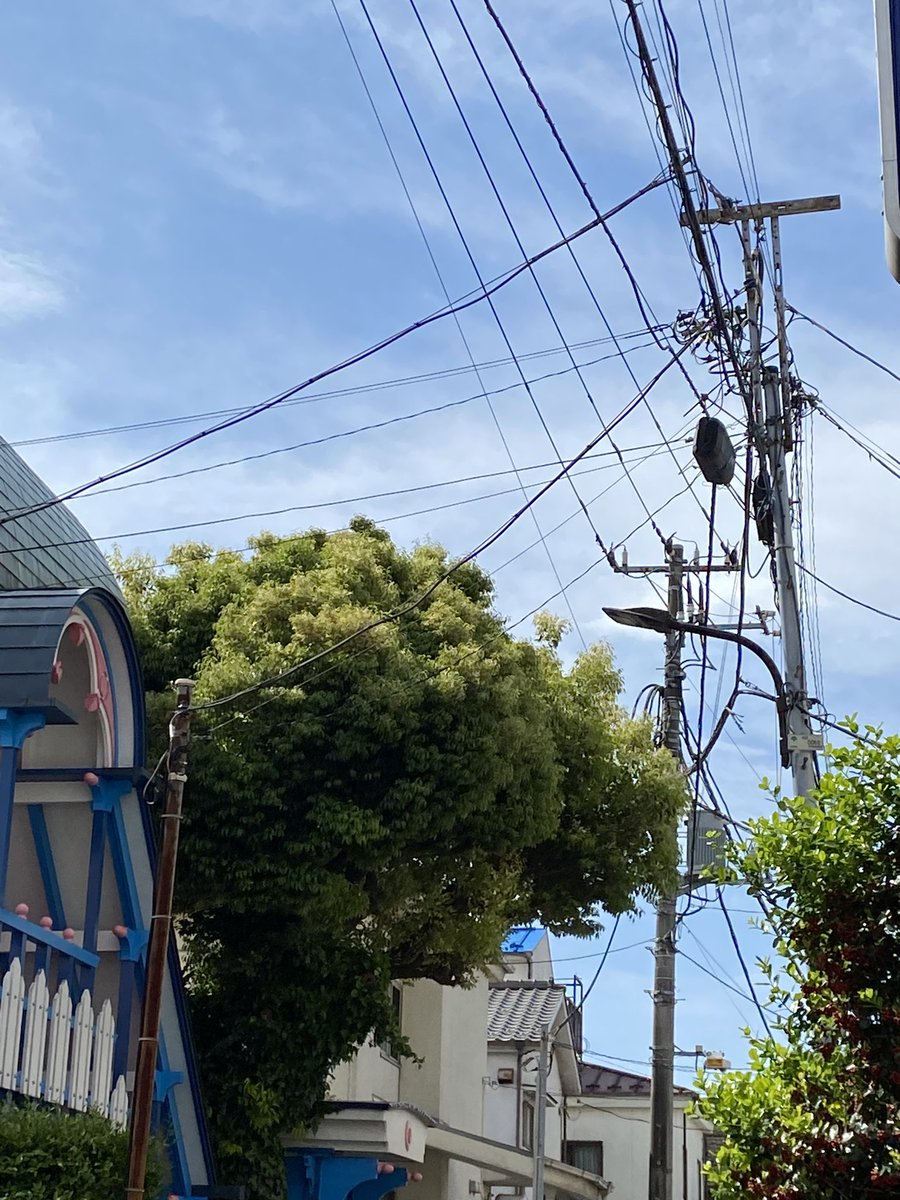 こんな清々しい朝に次はいつ巡り会えるやら https://t.co/p3TjzQ0xtB