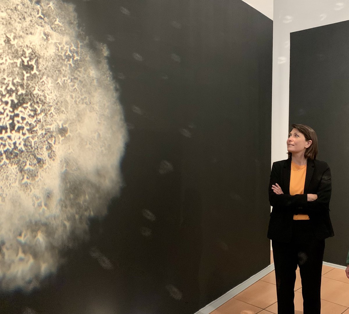 💫L’expo « Constellations », qui ouvre aujourd’hui, illumine le <a href="/MAMCeret/">Musée d'art moderne de Céret</a> ! 

🖼️ Elle donne à voir la richesse de nos collections d’#art #contemporain et la vitalité des artistes d’#Occitanie🤩

<a href="/mracserignan/">MRAC OCCITANIE à Sérignan</a> <a href="/lesabattoirs/">les Abattoirs</a>