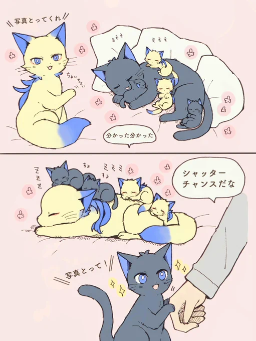 krn飼い主+kiisにゃん
にゃん達のアルバムが増えます🌸 