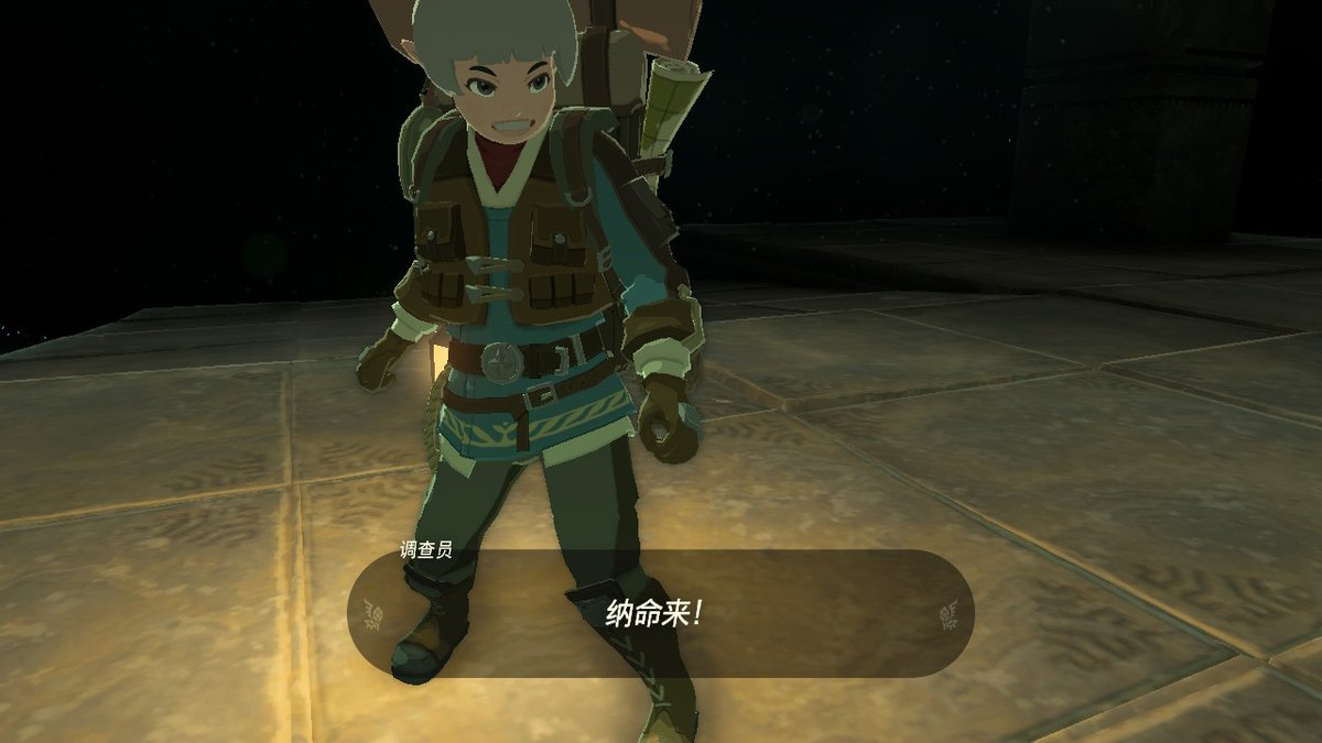 ZKuuki's tweet photo. #TearsOfTheKingdom #王国之泪 #塞尔达传说 #Zelda #NintendoSwitch https://t.co/oGnEL5mEvF