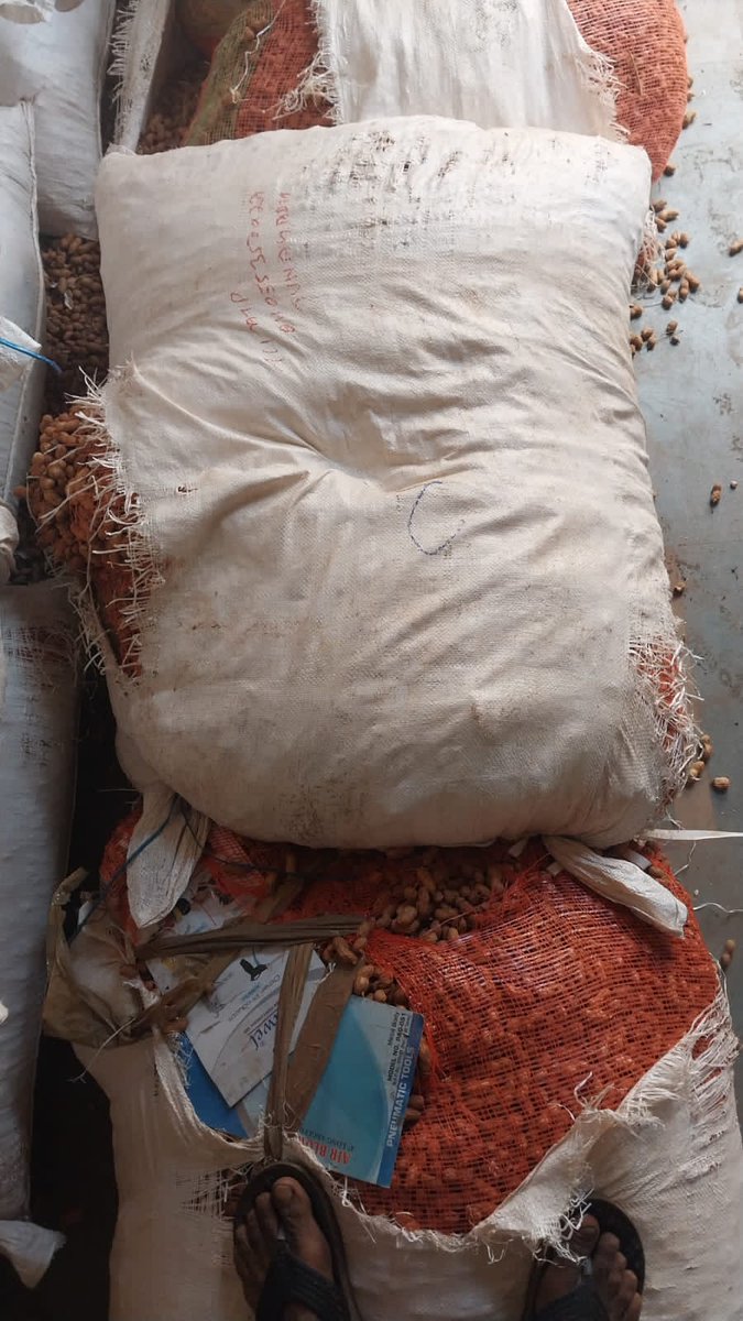 G2bhaiya's tweet photo. I got my material which was brutally damaged from all sides so around 30kg weight loss and around 5 bags were wet (225 kg) , and due to this was a groundnut seed for sowing purpose. I suffered from a big loss .

Consignment No. 811055361

#TCIFREIGHT @TCILGroup https://t.co/YOeJSKWbuD