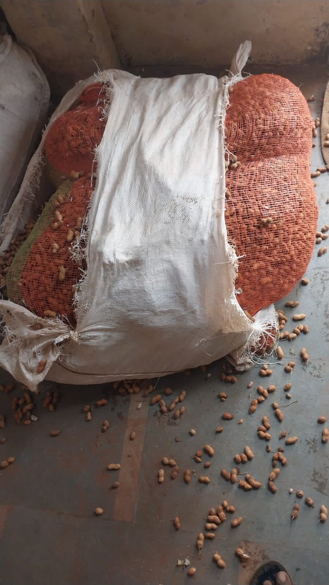 G2bhaiya's tweet photo. I got my material which was brutally damaged from all sides so around 30kg weight loss and around 5 bags were wet (225 kg) , and due to this was a groundnut seed for sowing purpose. I suffered from a big loss .

Consignment No. 811055361

#TCIFREIGHT @TCILGroup https://t.co/YOeJSKWbuD