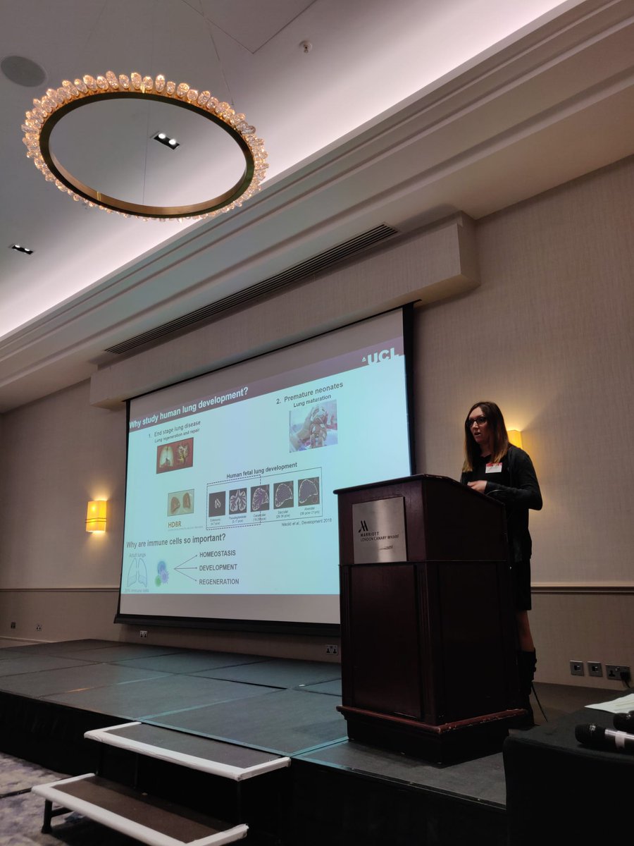 Jo Barnes tweet media