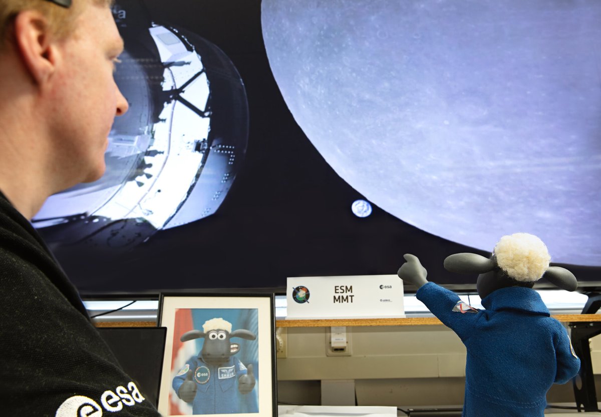 esa: ESA’s woolly astronaut @shaunthesheep recently visited space centres across Europe to meet the people who made his #Baaartemis mission possible.

🔗esa.int/About_Us/Brand… #Artemis #PostFlightTour #ForwardToTheMoon