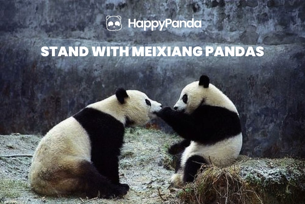 happypanda_club's tweet photo. In a world of mystery, and a land of lore,
The creatures of the wild suffer more and more.
Habitats destroyed, freedom taken away.
#HAPPYPANDA on a mission to save all,
#NFTforGood not just art, but answer their call.
#SAVEMEIXIANGFAMILY is our cry,
We are here to set them free. https://t.co/y6K5jyaV2q