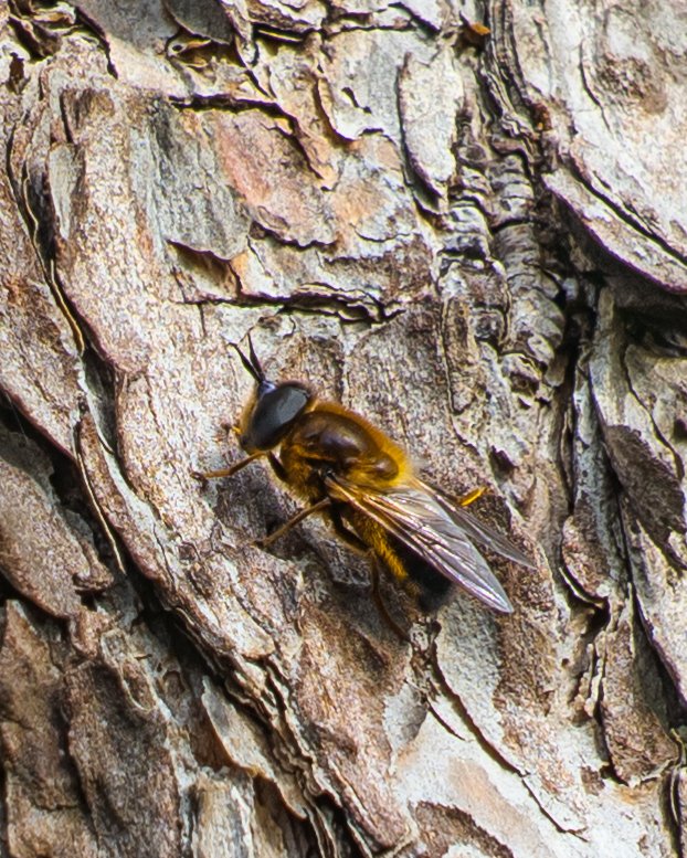 Matt Harrow tweet media