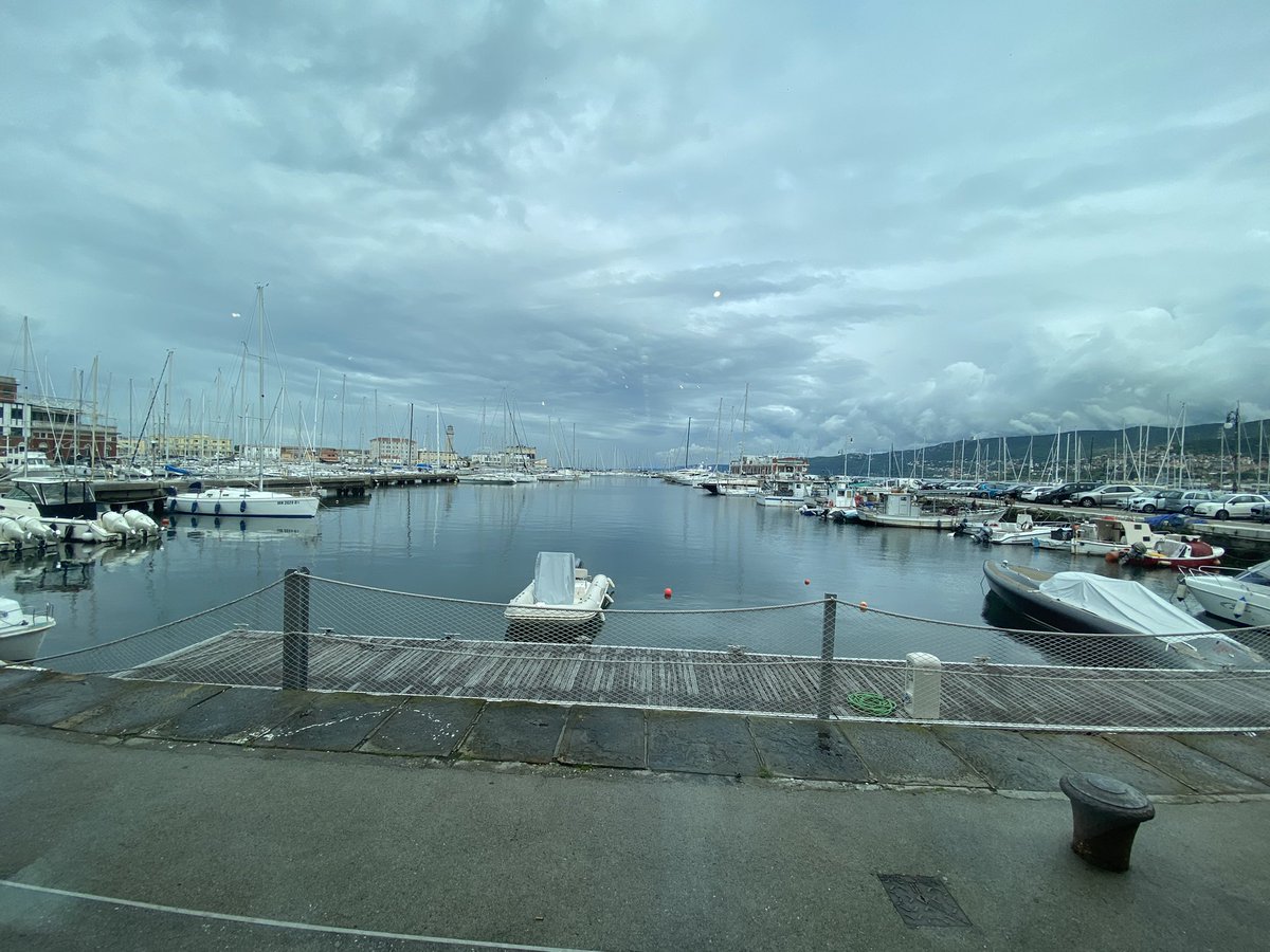 Mitchell Sanders, PhD Horror Author and Scientist tweet media