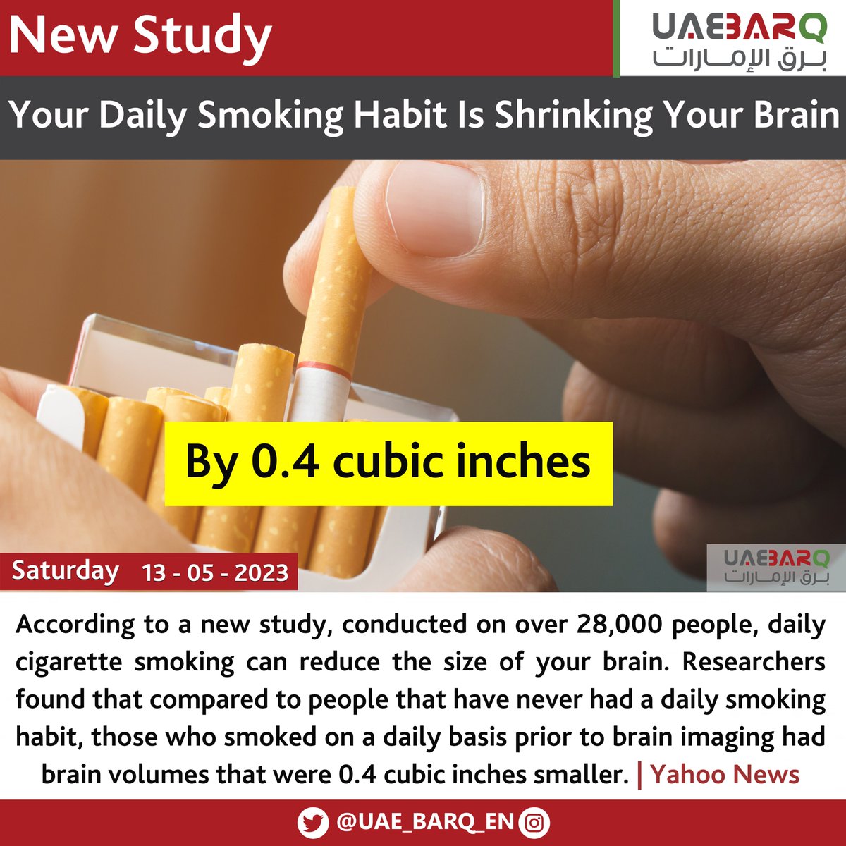 UAE BARQ on Twitter "Daily smoking linked to brain shrinkage in