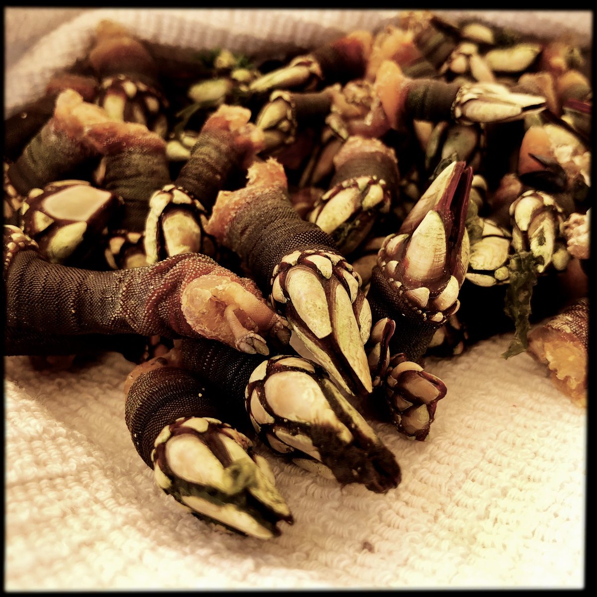 Luis Gutierrez tweet media