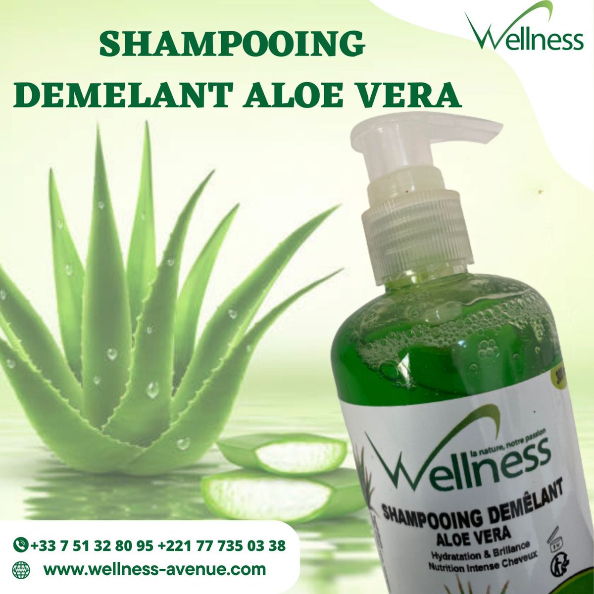 Prenez soin de vos cheveux avec notre shampoing démêlant aloe vera. Il répare les cheveux abimés pour un cuir chevelu sain et en bonne santé. Vos cheveux vous en remercieront. ❣️ 🌐wellnes-avenue.com ☎️+33 7 51 32 80 95 / +221 77 735 03 38