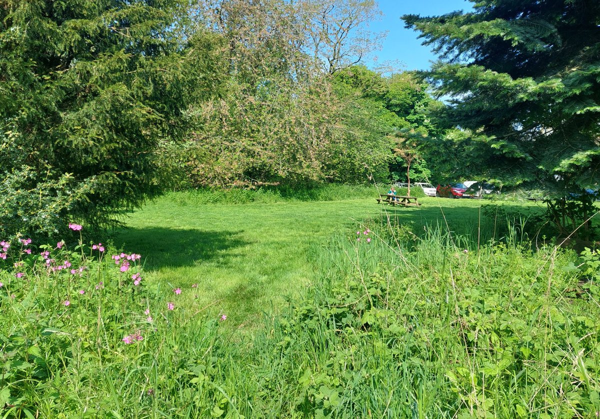 Amypadfieldecol's tweet photo. Beautiful morning @PrestonMontford. Day 1 of 2 with @dalestraining #outdoorfirstaid #BESUG23 https://t.co/YpH00cLzCw