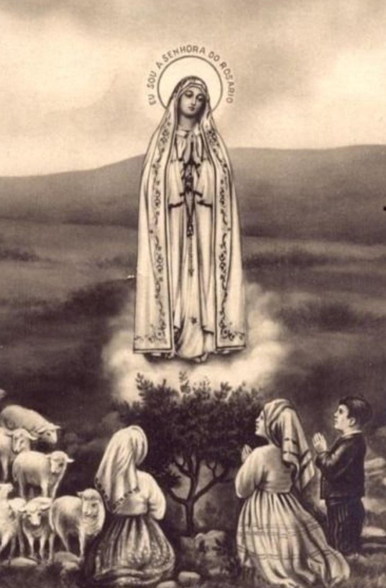 "Quiero que recitéis el Rosario todos los días, para alcanzar la paz en el mundo y el fin de la guerra".

Hoy 13 de mayo, se celebra el dia de la Virgen de Fátima. La Virgen se apareció a  tres pastorcitos, e hizo un especial inciso sobre el rezo del Santo Rosario.
