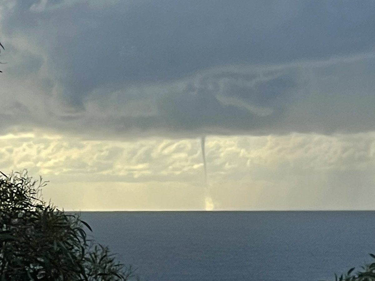 Katrin Meissner tweet media