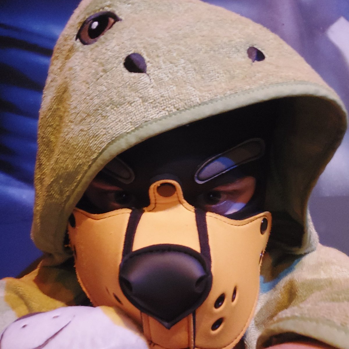 baby_pupp_chill (@2802tob) / Posts / X