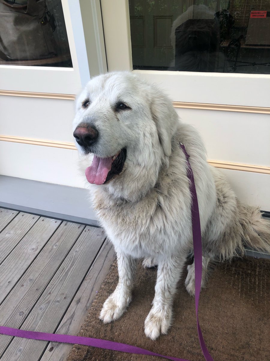 Ed Batista tweet media