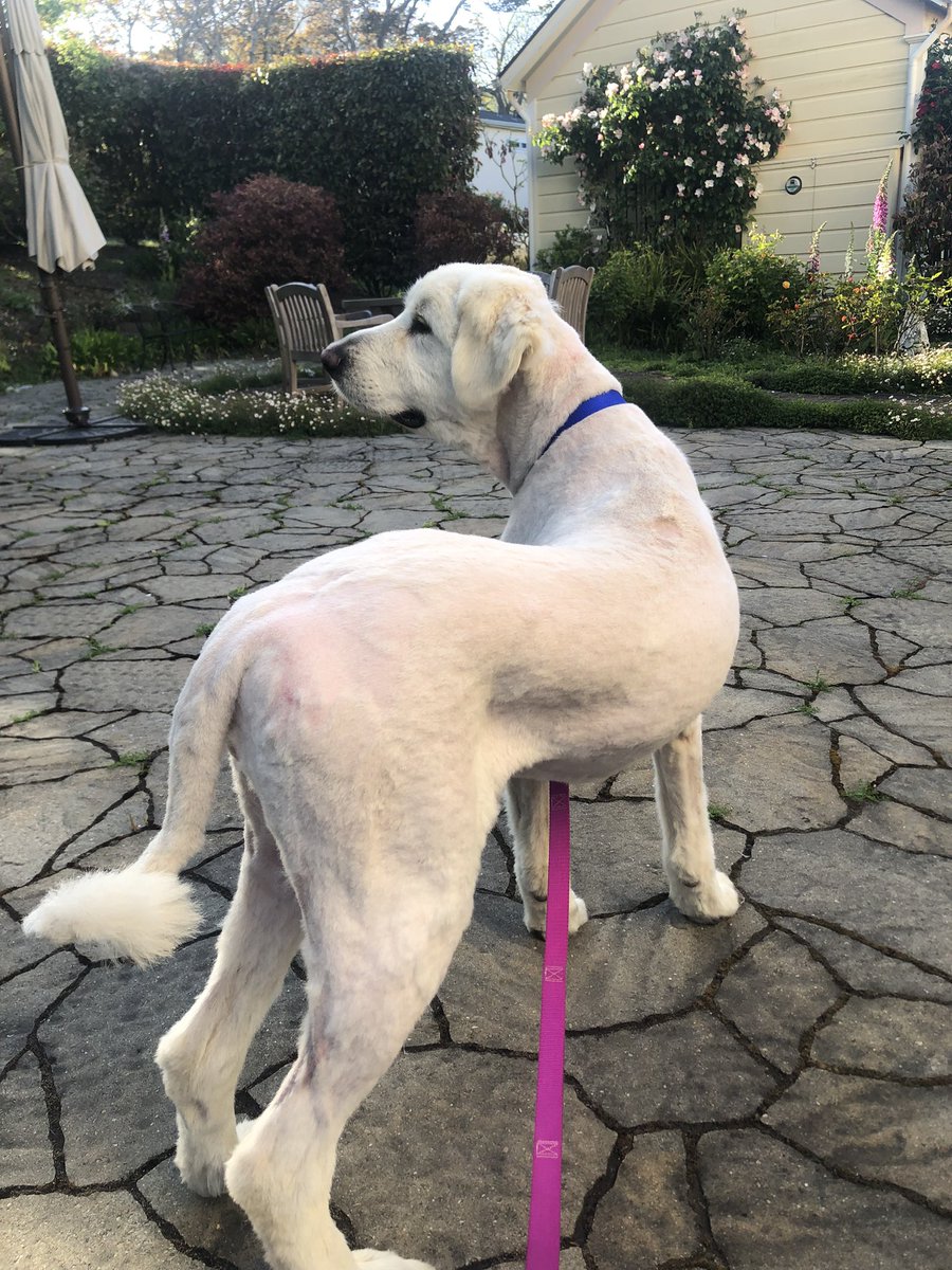 Ed Batista tweet media