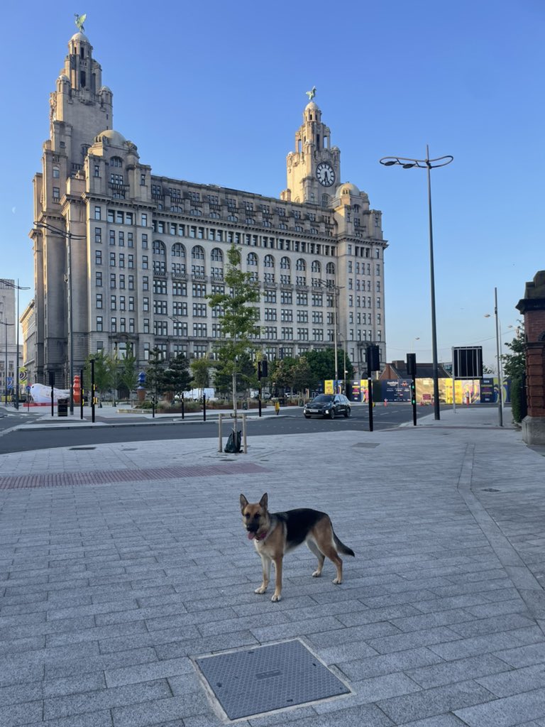 mcadamcraig's tweet photo. Early walks 🐾🐾 https://t.co/KdgensjH2B