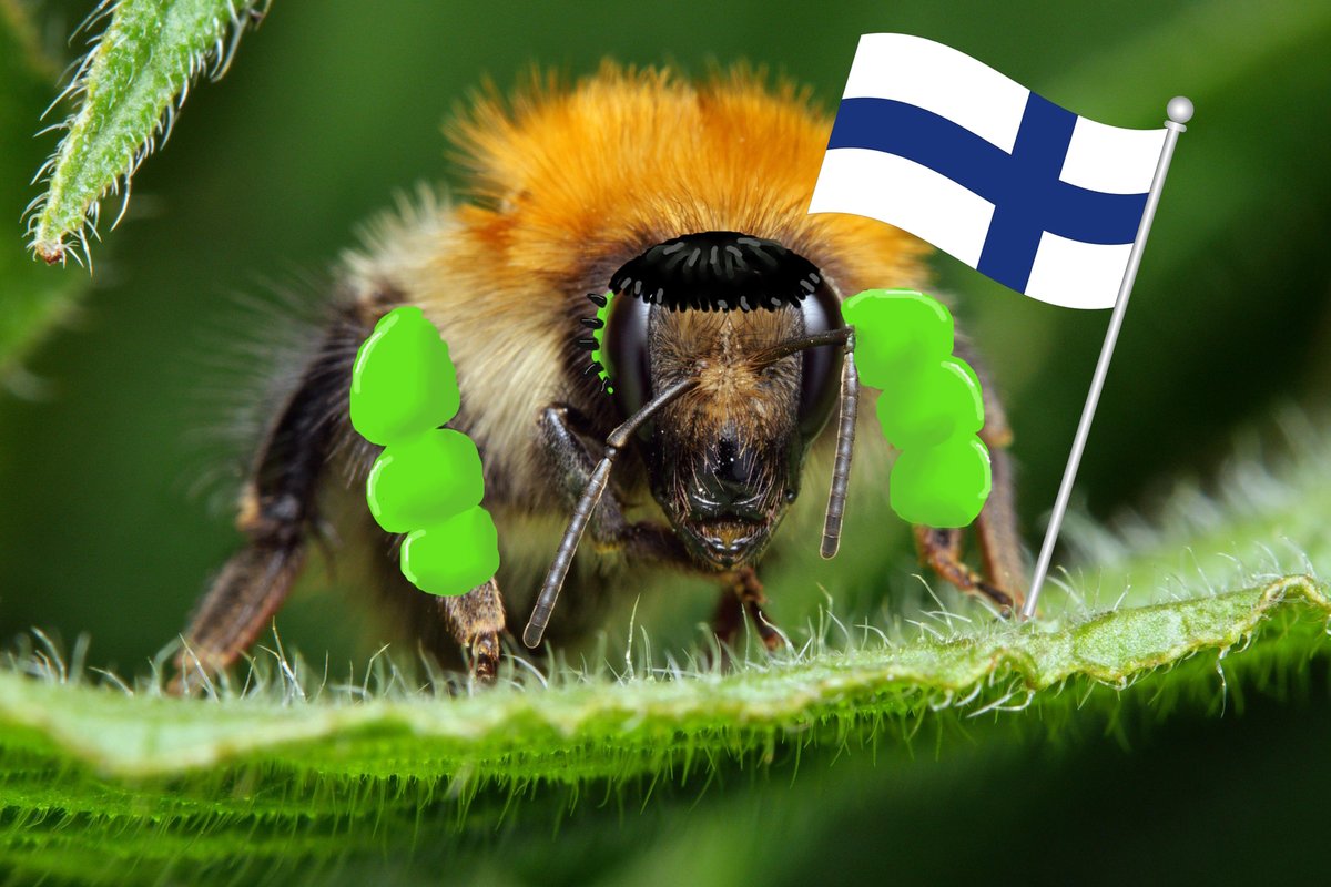 Pidän kuusin raajoin kiinni kukista niiku
Pörr, pörr, pörr...
En mieti huomista ku tartun versosta niiku
Pörr, pörr, pörr...
Haluun saada siitepölyä ja olla vapaa roundupista niiku 
Pörr, pörr, pörr...
Ja mä jatkan kunnes alkaa syksyn lehdet rapista niinku
Menestystä, #Käärijä !