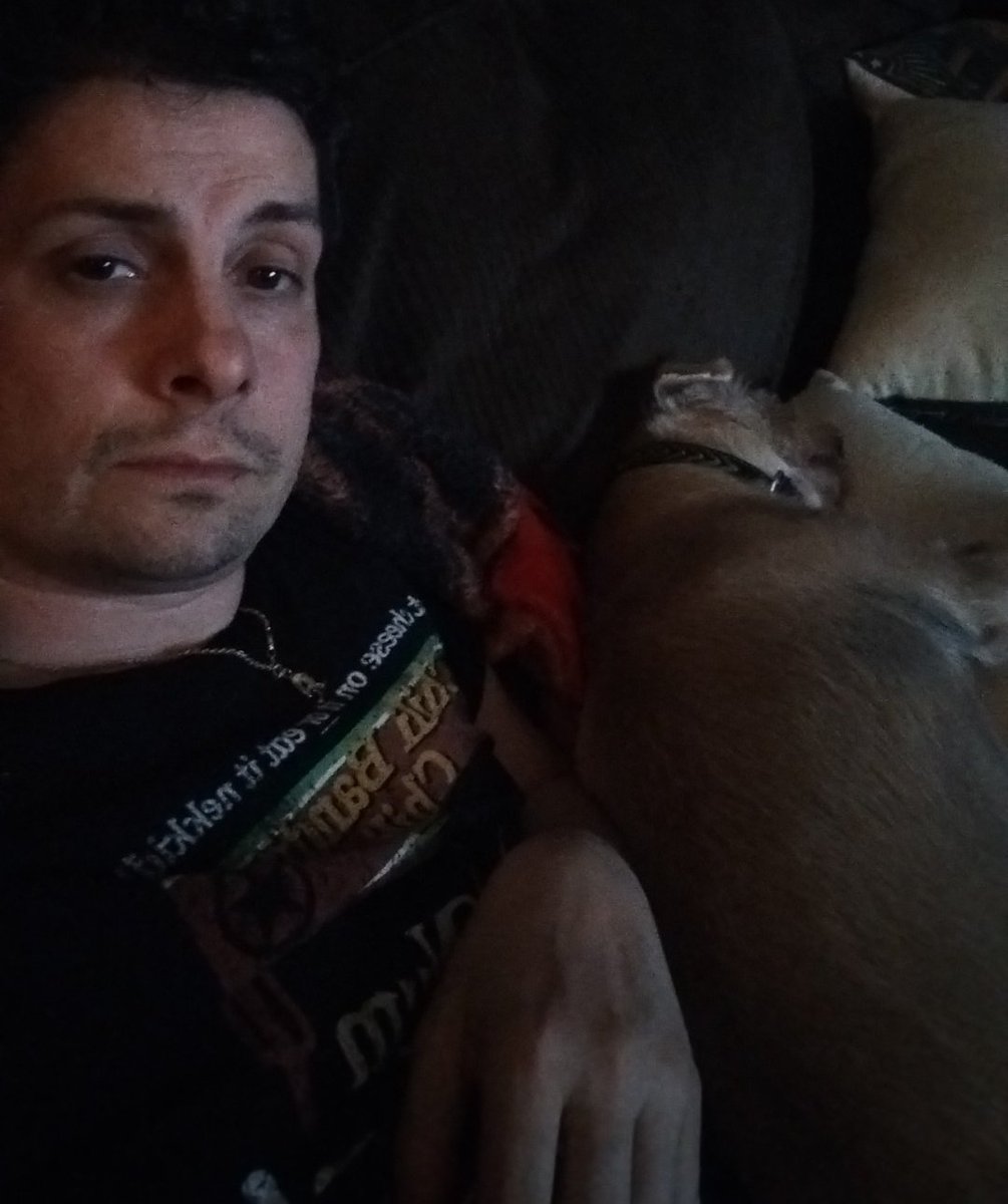 HorrorAddictsTV's tweet photo. I am but my doggo passed out.
You're so cool Brewster, even if you're a lightweight. #TheLastDriveIn on @Shudder with @therealjoebob @kinky_horror @SetDarcyFree @badtechno @TokyoCowboyYuki #MutantFam #Muthers https://t.co/Ty4QCNm1NH