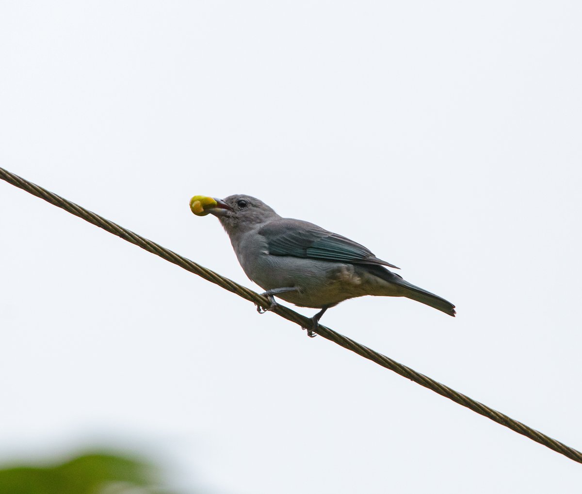 DMindart's tweet photo. I'm happy to be here again sharing my work with you!
There will be more art and photos! 

#photography #birds #Moonshot https://t.co/dQ7DfW3tHS