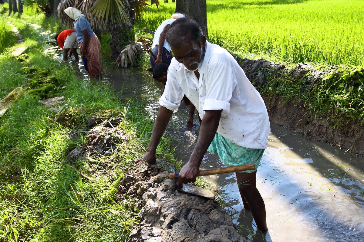 native_picture's tweet photo. When it comes to people with disabilities in rural areas, the situation becomes even worse, and reliance on the National Rural Employment Guarantee Act of 2005 (MGNREGA) becomes important in providing wage employment opportunities. https://t.co/Noo0mNTM8c