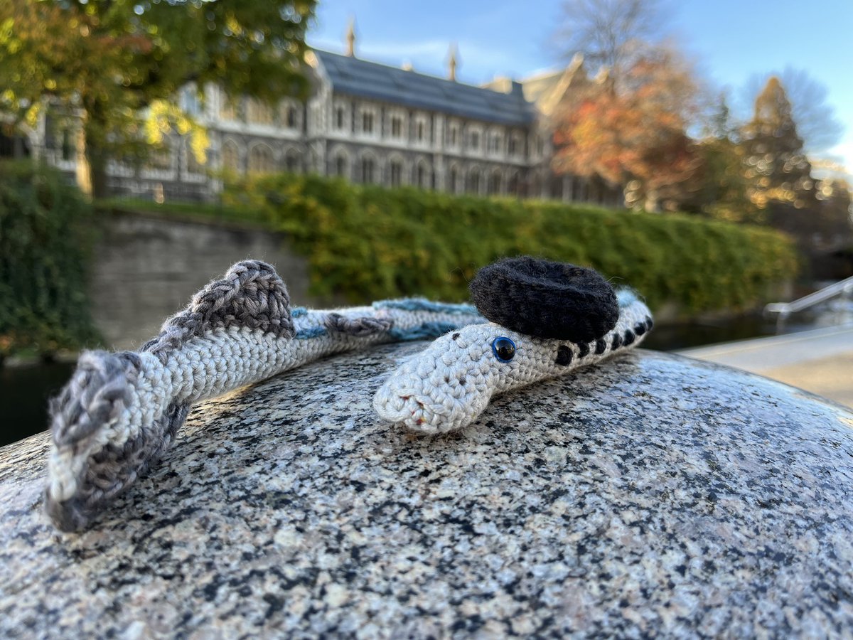 AK_Miller tweet media