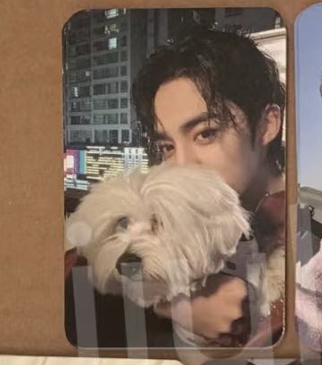 woncheolcart's tweet photo. wtb lfs ph

seventeen fml yes24 music plant pc
🍒 scoups

- pref feta / sfeta, neta ok
- pairing / take more ok ! 
- drop offers :] 

fansign fs svt muplant photocard seungcheol cheol kkuma my life https://t.co/brC4thYcBU