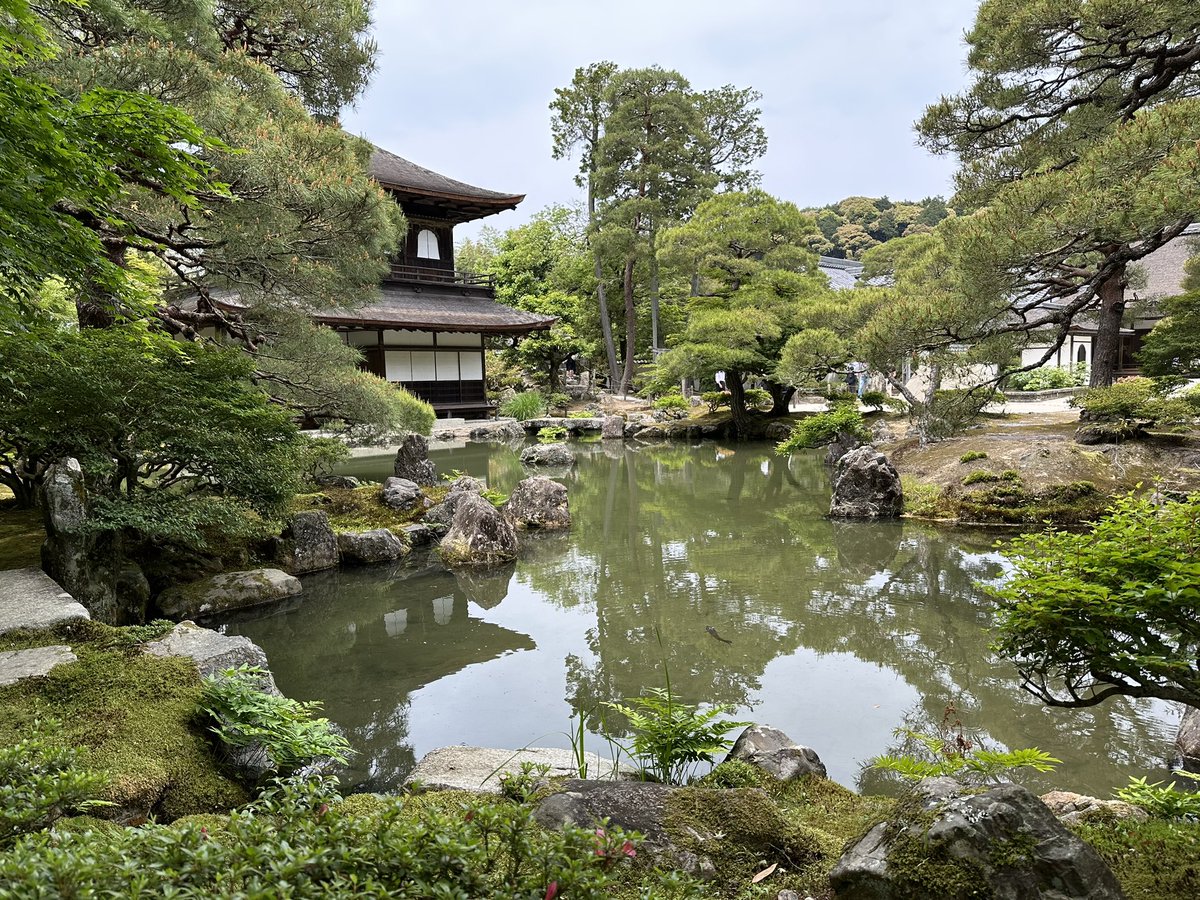 crazyus's tweet photo. 2:35PM, Kyoto, Japan: at the shrines & temples, husband & I wondered if #dooce had been to Japan. We thought she would like it. Then we did a bow & a prayer in her honor & for my aunt who is about to meet Heather on the other side. We hope they both have found peace. #travel / https://t.co/ONPuEVz7A0