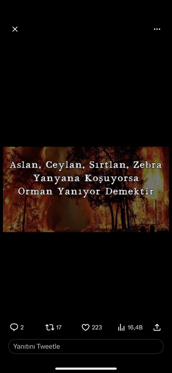 ozlmkrl's tweet photo. https://t.co/wQ0mLdbJ3J