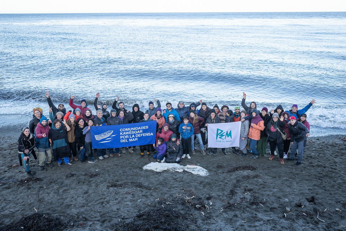 LeticiaCaro6's tweet photo. Hoy finalizamos el primer ciclo de buceo de nuestra comunidad, de la mano de Patagonia, por el derecho de habitar el territorio. 
#fuerasalmoneras
#queseaparque 
@AcueOficial @AguanteNatales @alexmunozw @CCCTDF @DefendamsChiloe @FIMA_Chile @FIMA_Chile @ginniasa @GreenpeaceCL https://t.co/j6LKA3m9Wa