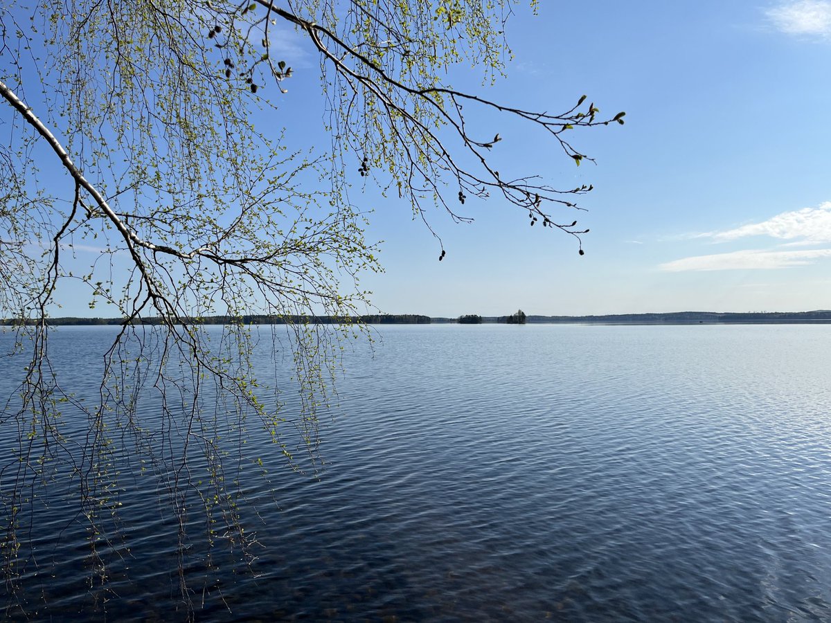 TiinaGronqvist's tweet photo. Näissä maisemissa aamu-uinnille. Lintukuoro säestää, käki nukkui kukkuu vastarannalla. Ihana aamu #kevät #aamu-uinti #auringossa https://t.co/lVTzn834gN