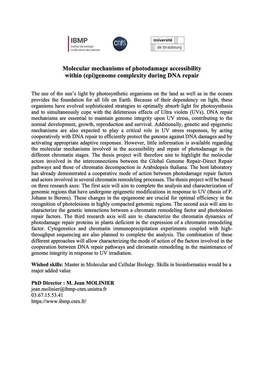We are looking for a motived student with very good academic marks to apply for the doctoral school competition. 
#DNA repair #epigenetics #chromatinremodeling #plants
 
ed.vie-sante.unistra.fr/actualites-age…