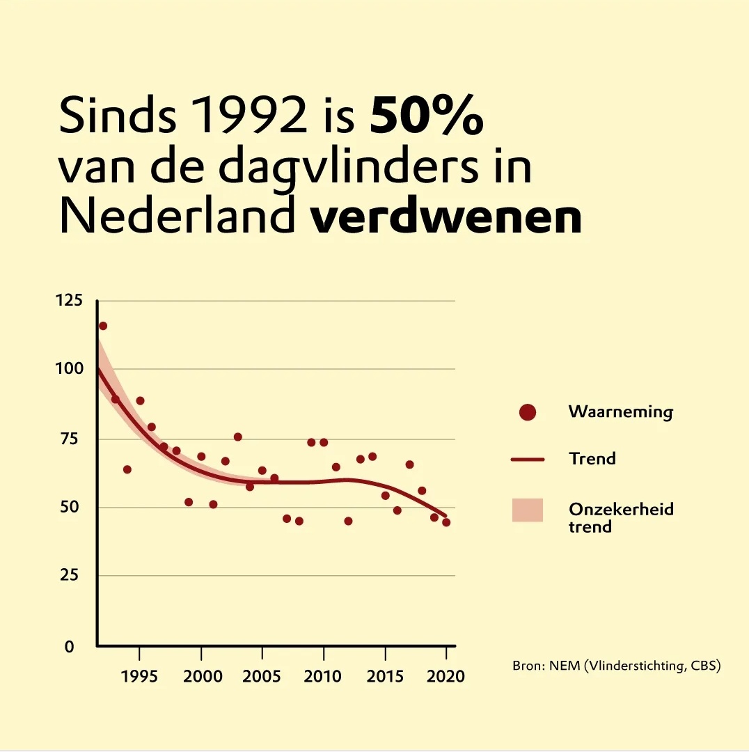 Het landschap in Nederland lijkt groen, maar is verdroogd, verzuurd en strak getrokken. De rommelhoekjes en rafelranden, heggen, slootkanten en bomenrijen zijn grotendeels verdwenen. Insecten lijden onder bestrijdingsmiddelen, overmatige bemesting en de uitstoot van stikstof.