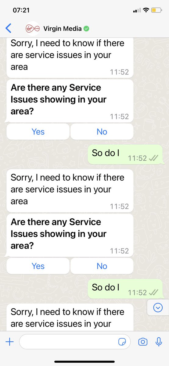 stephanie chivers tweet media